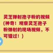 灵芝弹射孢子粉的视频(神奇！观察灵芝孢子粉弹射的现场视频，不可错过！)