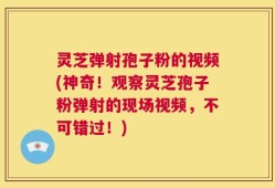 灵芝弹射孢子粉的视频(神奇！观察灵芝孢子粉弹射的现场视频，不可错过！)