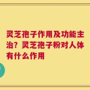 灵芝孢子作用及功能主治？灵芝孢子粉对人体有什么作用