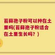 苔藓孢子粉可以种在土里吗(苔藓孢子粉适合在土里生长吗？)