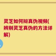 灵芝如何辩真伪视频(辨别灵芝真伪的方法详解)