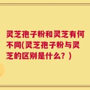 灵芝孢子粉和灵芝有何不同(灵芝孢子粉与灵芝的区别是什么？)