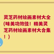 灵芝药材绘画素材大全(味美功效佳！精美灵芝药材绘画素材大合集！)