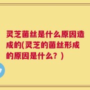 灵芝菌丝是什么原因造成的(灵芝的菌丝形成的原因是什么？)
