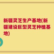 新疆灵芝生产基地(新疆建设巨型灵芝种植基地)