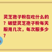 灵芝孢子粉在吃什么的？破壁灵芝孢子粉每天服用几次，每次服多少？