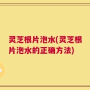 灵芝根片泡水(灵芝根片泡水的正确方法)