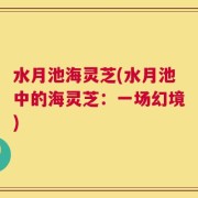水月池海灵芝(水月池中的海灵芝：一场幻境)