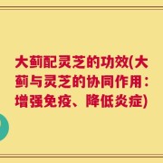 大蓟配灵芝的功效(大蓟与灵芝的协同作用：增强免疫、降低炎症)