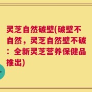 灵芝自然破壁(破壁不自然，灵芝自然壁不破：全新灵芝营养保健品推出)