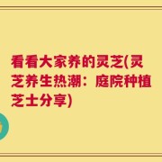 看看大家养的灵芝(灵芝养生热潮：庭院种植芝士分享)