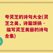 夸灵芝的诗句大全(灵芝之美，诗篇颂扬 - 描写灵芝美丽的诗句合集)