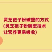 灵芝孢子粉破壁的方式(灵芝孢子粉破壁技术让营养更易吸收)