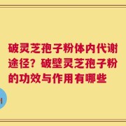 破灵芝孢子粉体内代谢途径？破壁灵芝孢子粉的功效与作用有哪些