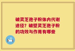 破灵芝孢子粉体内代谢途径？破壁灵芝孢子粉的功效与作用有哪些