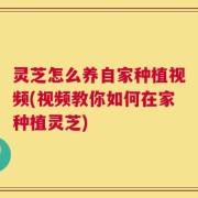 灵芝怎么养自家种植视频(视频教你如何在家种植灵芝)