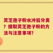 灵芝孢子粉水冲后分离？提取灵芝孢子粉的方法与注意事项？