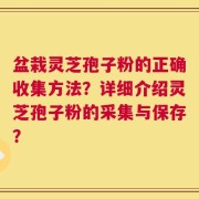 盆栽灵芝孢子粉的正确收集方法？详细介绍灵芝孢子粉的采集与保存？