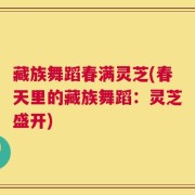 藏族舞蹈春满灵芝(春天里的藏族舞蹈：灵芝盛开)