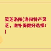灵芝洛阳(洛阳特产灵芝，滋补保健好选择！)