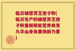 临沂破壁灵芝孢子粉(临沂生产的破壁灵芝孢子粉重新赋能营养焕发九华山身体重焕新力量)
