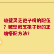 破壁灵芝孢子粉的配伍？破壁灵芝孢子粉的正确搭配方法？