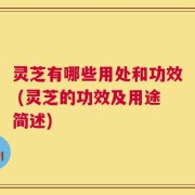 灵芝有哪些用处和功效 (灵芝的功效及用途简述)