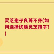 灵芝孢子良莠不齐(如何选择优质灵芝孢子？)