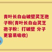 青叶长白山破壁灵芝孢子粉(青叶长白山灵芝孢子粉：打破壁 分子更容易吸收)