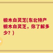 椴木白灵芝(东北特产椴木白灵芝，你了解多少？)