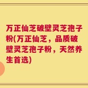 万正仙芝破壁灵芝孢子粉(万正仙芝，品质破壁灵芝孢子粉，天然养生首选)