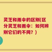 灵芝和雨伞的区别(区分灵芝和雨伞：如何辨别它们的不同？)