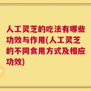 人工灵芝的吃法有哪些功效与作用(人工灵芝的不同食用方式及相应功效)
