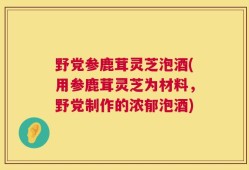 野党参鹿茸灵芝泡酒(用参鹿茸灵芝为材料，野党制作的浓郁泡酒)