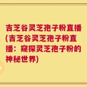 吉芝谷灵芝孢子粉直播(吉芝谷灵芝孢子粉直播：窥探灵芝孢子粉的神秘世界)