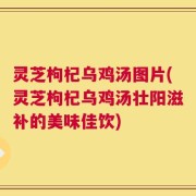 灵芝枸杞乌鸡汤图片(灵芝枸杞乌鸡汤壮阳滋补的美味佳饮)