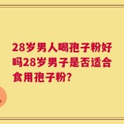 28岁男人喝孢子粉好吗28岁男子是否适合食用孢子粉？
