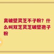 离破壁灵芝不子粉？什么叫双芝灵芝破壁孢子粉