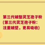 第三代破墼灵芝孢子粉(第三代灵芝孢子粉：注重破壁，更易吸收)