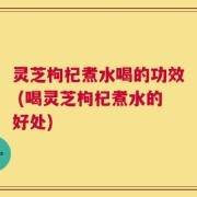 灵芝枸杞煮水喝的功效 (喝灵芝枸杞煮水的好处)