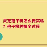 灵芝孢子粉怎么做实验？孢子粉种植全过程