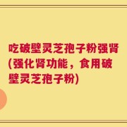吃破壁灵芝孢子粉强肾(强化肾功能，食用破壁灵芝孢子粉)