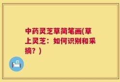 中药灵芝草简笔画(草上灵芝：如何识别和采摘？)