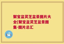 聚宝盆灵芝盆景图片大全(聚宝盆灵芝盆景图集-图片总汇