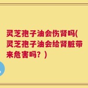 灵芝孢子油会伤肾吗(灵芝孢子油会给肾脏带来危害吗？)
