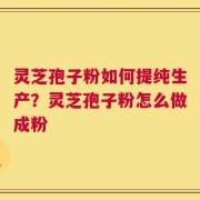 灵芝孢子粉如何提纯生产？灵芝孢子粉怎么做成粉
