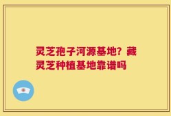 灵芝孢子河源基地？藏灵芝种植基地靠谱吗