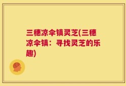 三穗凉伞镇灵芝(三穗凉伞镇：寻找灵芝的乐趣)