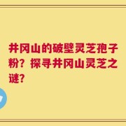 井冈山的破壁灵芝孢子粉？探寻井冈山灵芝之谜？
