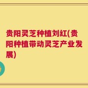 贵阳灵芝种植刘红(贵阳种植带动灵芝产业发展)